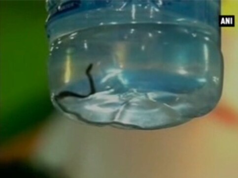 Surprise in a bottle: Snake found in water served to Raman Singh, JP Nadda in Raipur Surprise in a bottle: Snake found in water served to Raman Singh, JP Nadda in Raipur