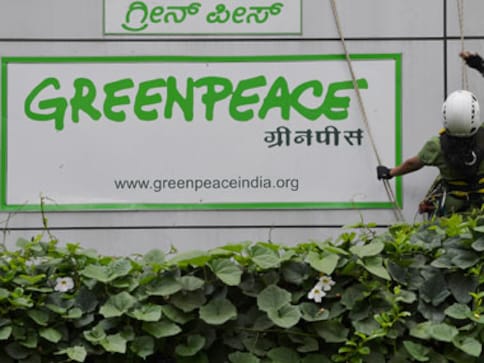 HC orders interim stay on cancellation of foreign funds for Greenpeace India