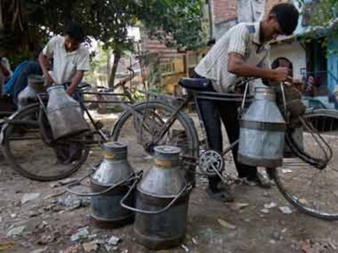 Two children dead, three critical after consuming milk in Uttar Pradesh village Two children dead, three critical after consuming milk in Uttar Pradesh village