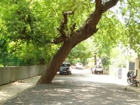 Around 17,000 trees to be cut in South Delhi for redevelopment of central govt accommodations, activists protest