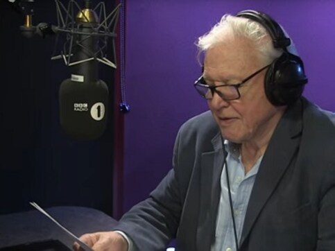 Watch: Sir David Attenborough narrating Adele's 'Hello' makes the video even better Watch: Sir David Attenborough narrating Adele's 'Hello' makes the video even better