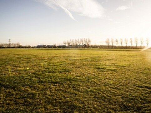 Netherlands to commemorate MH17 victims by planting 298 trees near Schiphol airport Netherlands to commemorate MH17 victims by planting 298 trees near Schiphol airport