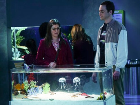At last! Sheldon, Amy take big step on 'Big Bang Theory' At last! Sheldon, Amy take big step on 'Big Bang Theory'