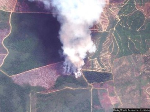 What you need to know about Indonesian fires that are affecting global climate change What you need to know about Indonesian fires that are affecting global climate change