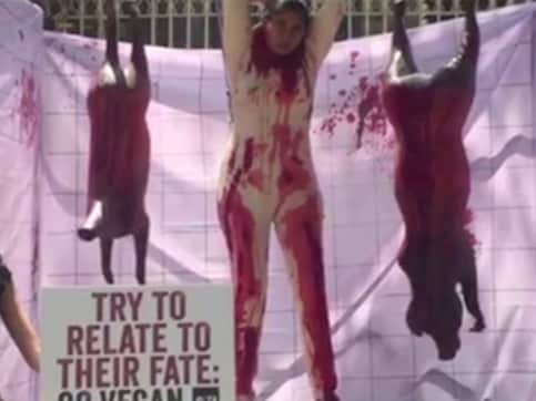 Watch: 'Bloodied' PETA volunteer hangs from meat hook to recreate slaughterhouse Watch: 'Bloodied' PETA volunteer hangs from meat hook to recreate slaughterhouse
