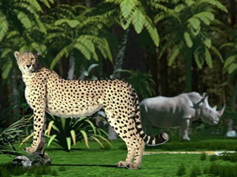 Well done humans! One in four mammals faces extinction Well done humans! One in four mammals faces extinction