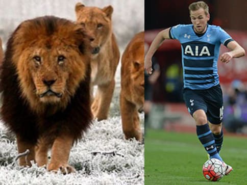 Watch out, Leicester! Tottenham's Harry Kane fires warning shot with cryptic Instagram post Watch out, Leicester! Tottenham's Harry Kane fires warning shot with cryptic Instagram post