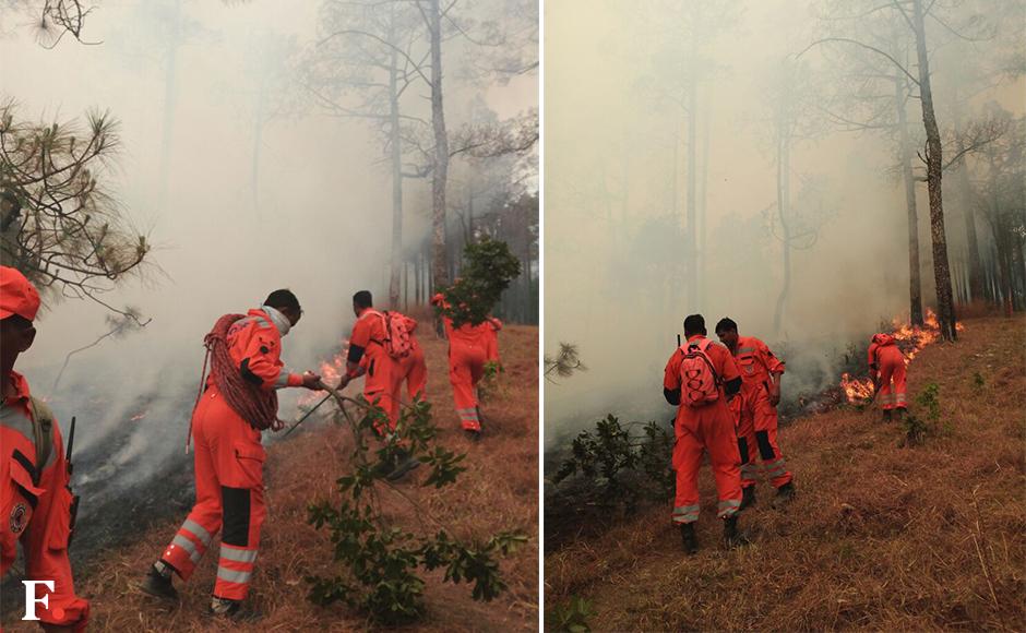 An NDRF team is seen fighting fire in Uttarakhand. About 19,000 hectares of forest have been gutted in the blaze. Image courtesy: NDRF An NDRF team is seen fighting fire in Uttarakhand. About 19,000 hectares of forest have been gutted in the blaze. Image courtesy: NDRF
