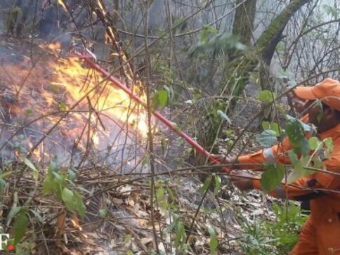 Man-made or natural? Uttarakhand fire is classic example of human encroachment on forest land