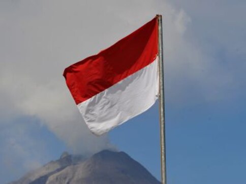 6.5-magnitude earthquake strikes off coast of Indonesia: USGS