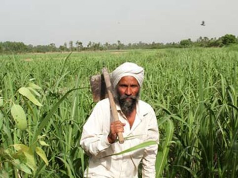 Vijay Mallya’s loan: BoB mistook farmer, security guard for Kingfisher directors! Vijay Mallya’s loan: BoB mistook farmer, security guard for Kingfisher directors!
