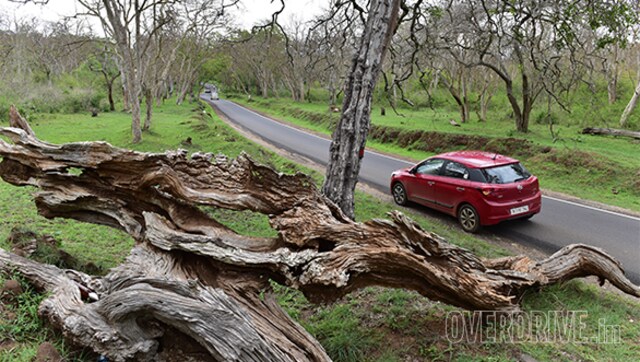 Best driving roads: Ooty to Mysore via Masinagudi