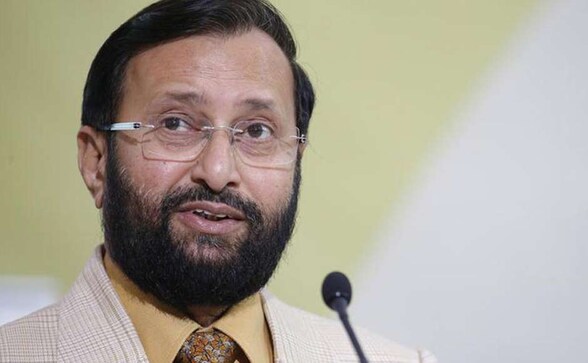 Going green: Govt to create urban forests in 200 cities and towns across India Going green: Govt to create urban forests in 200 cities and towns across India