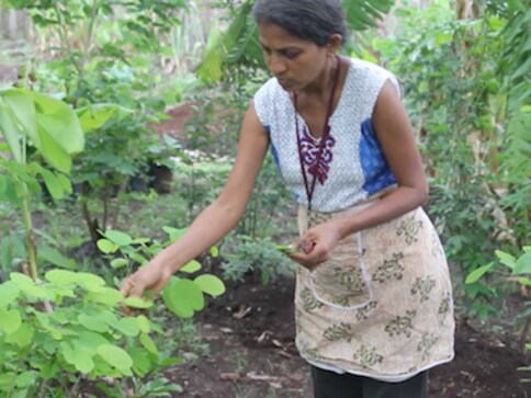Fresh off the farm: Why Priya Salvi gave up her urban life for sustainable agriculture