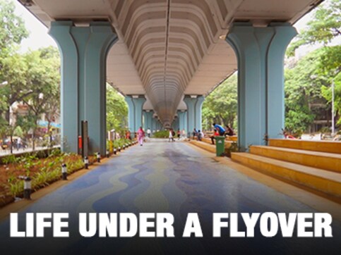 Watch: Mumbai's Unique Under Flyover Garden Watch: Mumbai's Unique Under Flyover Garden