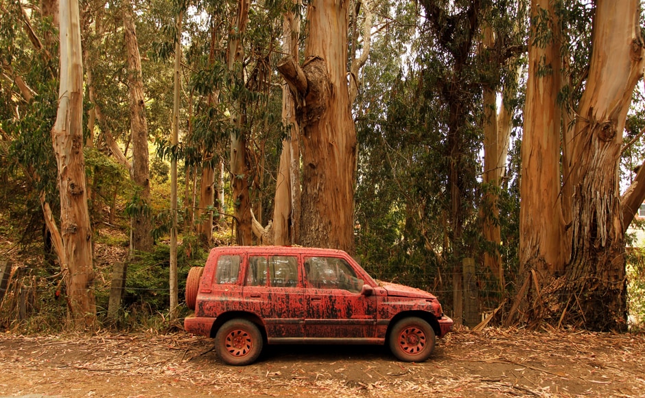 A vehicle covered in fire retardant from an aerial tanker, sits parked on the side of Palo Colorado Road. Tippi Hedren's animal sanctuary, Shambala Preserve, was also forced to move 340 of its more than 400 residents, including Bengal tigers and a mountain lion. "Please say a prayer for all residents in the path of the #SandFire. My Moms place Shambala is being evacuated," the actress Melanie Griffith, who is Hedren's daughter, tweeted on Sunday. Reuters A vehicle covered in fire retardant from an aerial tanker, sits parked on the side of Palo Colorado Road. Tippi Hedren's animal sanctuary, Shambala Preserve, was also forced to move 340 of its more than 400 residents, including Bengal tigers and a mountain lion. "Please say a prayer for all residents in the path of the #SandFire. My Moms place Shambala is being evacuated," the actress Melanie Griffith, who is Hedren's daughter, tweeted on Sunday. Reuters