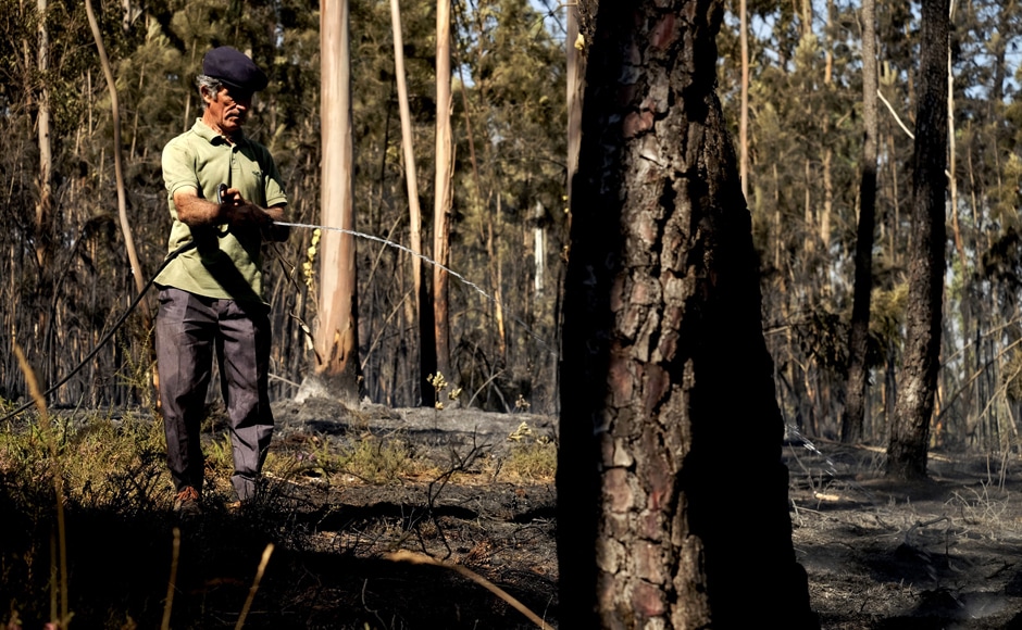 Jos' Cerveira, 71 years old, waters a burnt forest area to prevent it from reigniting, outside the village of S'o Rom'o, near Mealhada. Miguel Albuquerque, head of Madeira's regional government, told reporters the three local victims died in their burned homes early Wednesday as the wildfire hit the coastal city in the dark. He said two other people were seriously hurt and one person went missing. At least 37 houses and a five-star hotel had burned down. AP Jos' Cerveira, 71 years old, waters a burnt forest area to prevent it from reigniting, outside the village of S'o Rom'o, near Mealhada. Miguel Albuquerque, head of Madeira's regional government, told reporters the three local victims died in their burned homes early Wednesday as the wildfire hit the coastal city in the dark. He said two other people were seriously hurt and one person went missing. At least 37 houses and a five-star hotel had burned down. AP