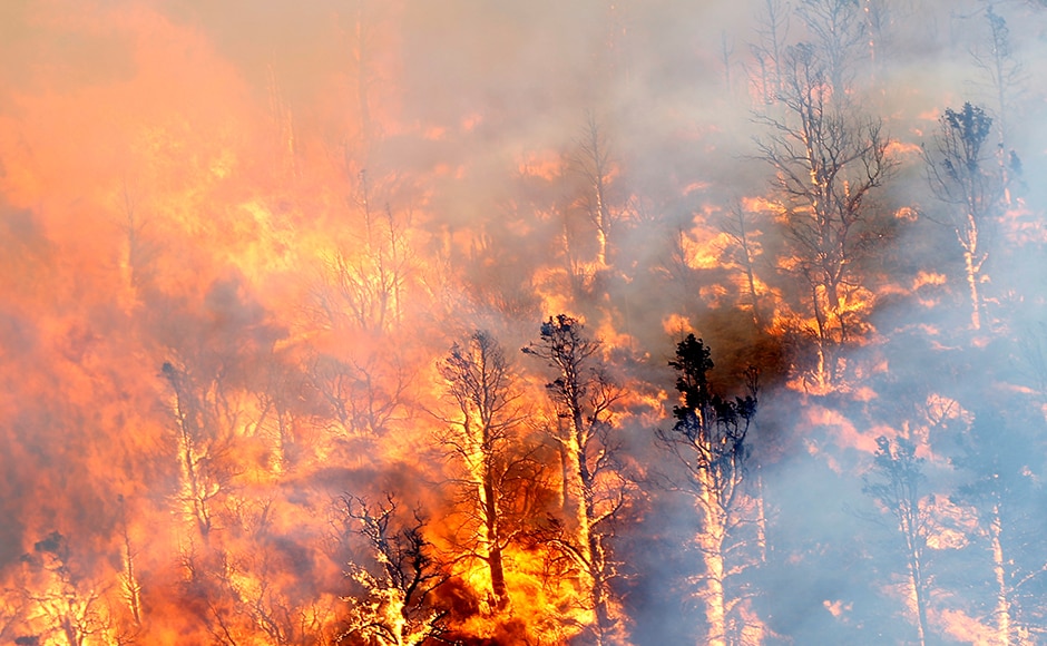 The Blue Cut Fire, named for a narrow gorge north of San Bernardino where it started, threatened the town of Wrightwood near a ski resort and other communities in a partly rural area, authorities said. Trees burn on a hillside fire near Wrightwood. Reuters The Blue Cut Fire, named for a narrow gorge north of San Bernardino where it started, threatened the town of Wrightwood near a ski resort and other communities in a partly rural area, authorities said. Trees burn on a hillside fire near Wrightwood. Reuters