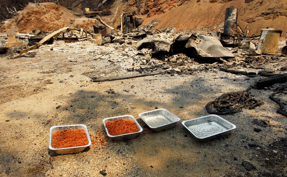 Food and water intended for animals are left at the site of a destroyed home. Residents of the rural area surrounded by rolling hills told reporters they scrambled to evacuate with their animals as the wind-driven blaze swept through dry slopes. "We watched it explode, coming across Old Millerton Road, and it just keeps getting bigger and bigger," resident Dana Bays told KFSN-TV. Reuters Food and water intended for animals are left at the site of a destroyed home. Residents of the rural area surrounded by rolling hills told reporters they scrambled to evacuate with their animals as the wind-driven blaze swept through dry slopes. "We watched it explode, coming across Old Millerton Road, and it just keeps getting bigger and bigger," resident Dana Bays told KFSN-TV. Reuters