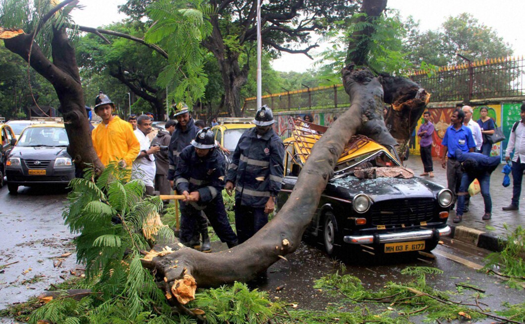 In Mumbai, a tree fell on a taxi near St Xavier's College on Tuesday due to heavy rains lashing the city. In a similar incident last week, a security guard was injured when a tree branch fell on him near the Income tax office at Churchgate following which he was rushed to a civic hospital.PTI In Mumbai, a tree fell on a taxi near St Xavier's College on Tuesday due to heavy rains lashing the city. In a similar incident last week, a security guard was injured when a tree branch fell on him near the Income tax office at Churchgate following which he was rushed to a civic hospital.PTI