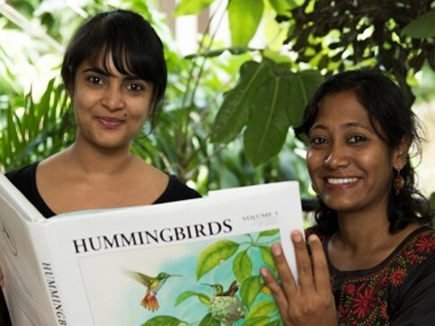Taking flight: Two Bengaluru artists have brought hummingbirds to life with their illustrations Taking flight: Two Bengaluru artists have brought hummingbirds to life with their illustrations