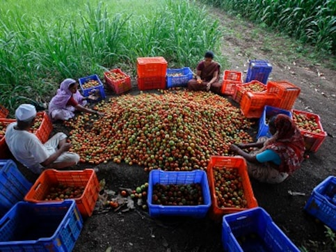 Deregulation of produce market from APMC is bound to fail, thanks to haphazard arrangements Deregulation of produce market from APMC is bound to fail, thanks to haphazard arrangements