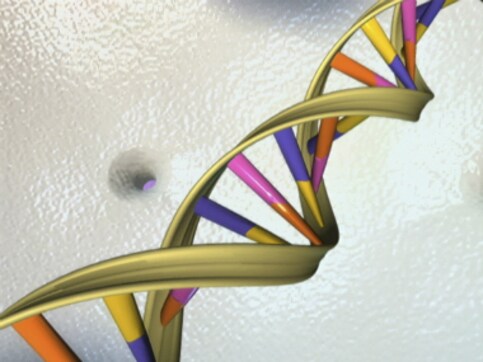 DNA testing becoming increasingly popular to diagnose and treat lifestyle diseases, reduce health risk DNA testing becoming increasingly popular to diagnose and treat lifestyle diseases, reduce health risk