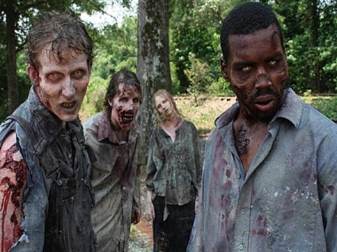 Why I filed an RTI query about our government's preparedness for a zombie invasion Why I filed an RTI query about our government's preparedness for a zombie invasion