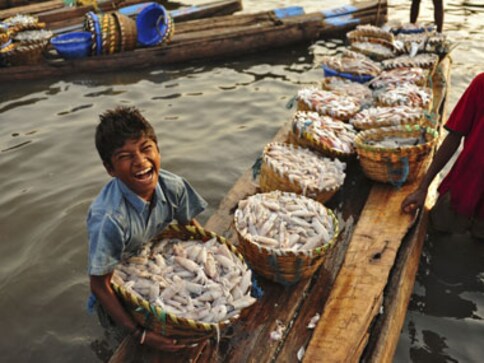 Attention fish eaters! You may be consuming toxic chemicals