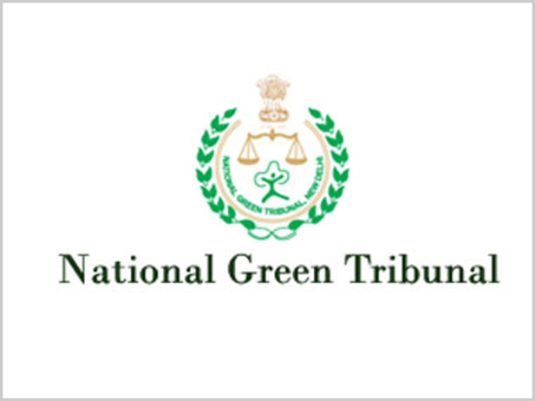 Ngt S Website Hacked Litigants Lawyers Unable To Access Daily