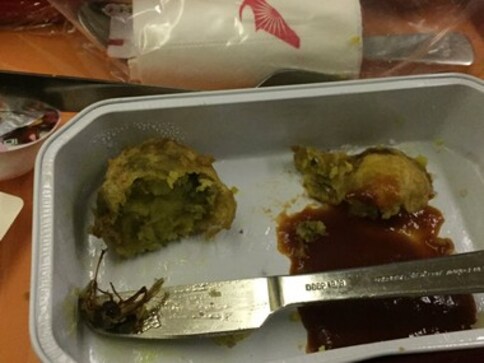 Cockroach found in meal served on Air India flight, airline's probe on Cockroach found in meal served on Air India flight, airline's probe on