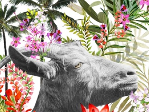 Goa to host new multi-genre GOAT festival; to focus on world music, art, food and design Goa to host new multi-genre GOAT festival; to focus on world music, art, food and design