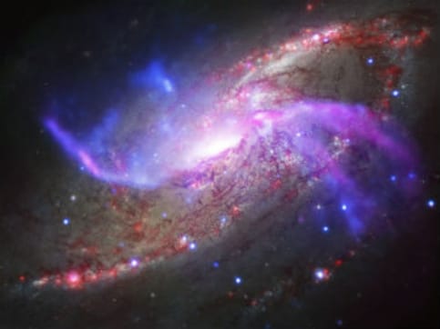 Indian physicist Thanu Padmanabhan wins decade-long bet on dark energy Indian physicist Thanu Padmanabhan wins decade-long bet on dark energy