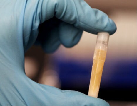 UK becomes the first country to offer three- parent gene therapy UK becomes the first country to offer three- parent gene therapy