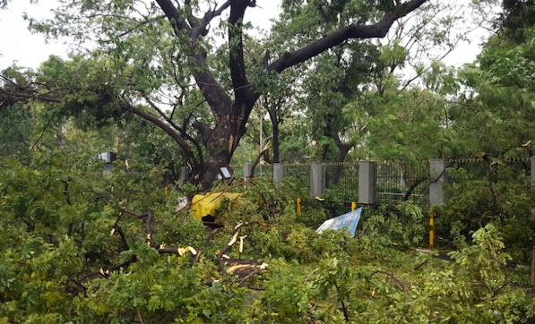 Cyclone Vardah rips through Chennai: City's poor green record is a concern Cyclone Vardah rips through Chennai: City's poor green record is a concern