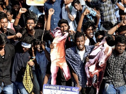 Jallikattu row: Madras HC tells Tamil Nadu govt to provide proper treatment to injured protesters Jallikattu row: Madras HC tells Tamil Nadu govt to provide proper treatment to injured protesters