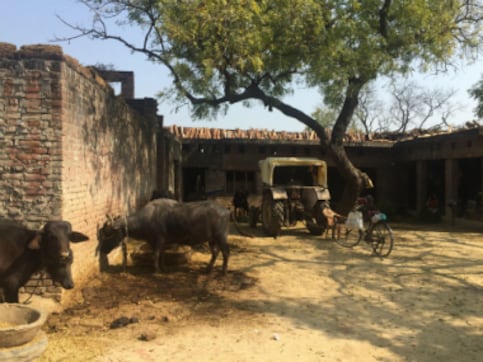 UP Election 2017: In Sonia Gandhi's adopted Udwa village, millennials are impressed with Modi's 'audaciousness' UP Election 2017: In Sonia Gandhi's adopted Udwa village, millennials are impressed with Modi's 'audaciousness'