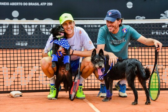 Brazil Open: Who's a good dog? The tennis ball retrievers at Sao Paulo for 2nd straight year Brazil Open: Who's a good dog? The tennis ball retrievers at Sao Paulo for 2nd straight year
