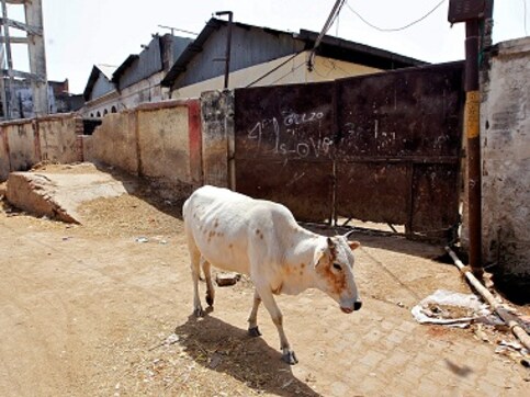 Alwar lynching: Protest in Delhi seeking ban on cow vigilantes Alwar lynching: Protest in Delhi seeking ban on cow vigilantes