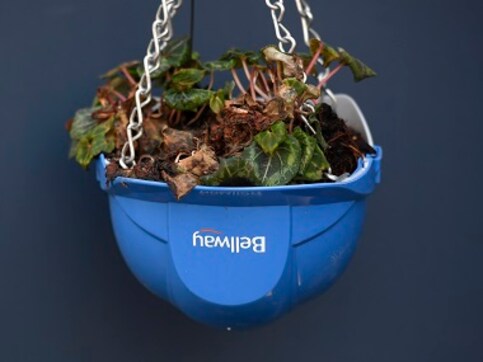 Indoor plants: How nature's air purifiers can help deionise your house, cure 'sick home' syndrome Indoor plants: How nature's air purifiers can help deionise your house, cure 'sick home' syndrome