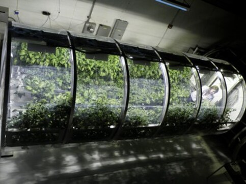 Nasa's inflatable greenhouse could feed astronauts on Mars and Moon Nasa's inflatable greenhouse could feed astronauts on Mars and Moon