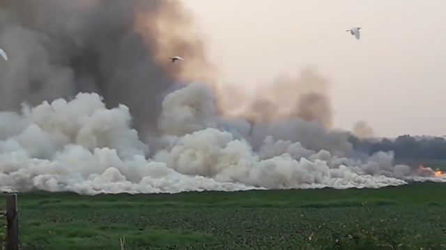 Watch: Bengaluru's toxic frothing lakes Watch: Bengaluru's toxic frothing lakes
