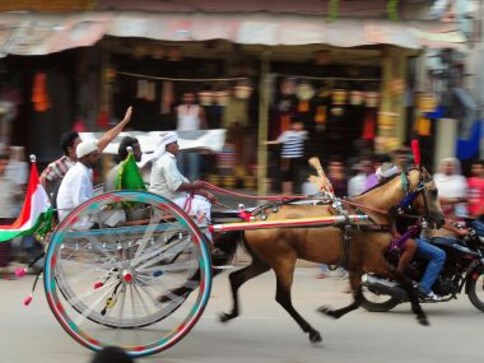 From race tracks to death: Behind glitzy equestrian sports lie a gruesome chain of cruelty