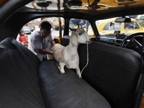 Gangsters Act to be invoked against those sacrificing cattle during Bakrid in Uttar Pradesh's Sambhal district Gangsters Act to be invoked against those sacrificing cattle during Bakrid in Uttar Pradesh's Sambhal district