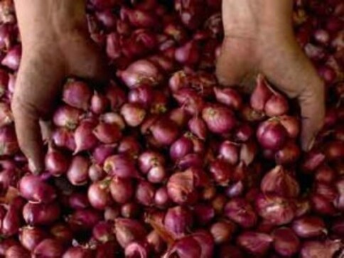 Onion prices at Rs 50/kg: To curb further rise, govt extends stock holding limit until December 2017 Onion prices at Rs 50/kg: To curb further rise, govt extends stock holding limit until December 2017