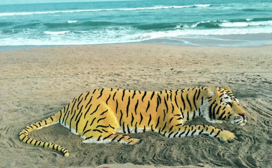 There are 13 Tiger Range Countries (TRC), including India, in the world where tigers roam free. Sand artist Sudarsan Patnaik created a sand sculpture urging citizens to protect the national animal of India. Image courtesy: Twitter/sudarsansand There are 13 Tiger Range Countries (TRC), including India, in the world where tigers roam free. Sand artist Sudarsan Patnaik created a sand sculpture urging citizens to protect the national animal of India. Image courtesy: Twitter/sudarsansand