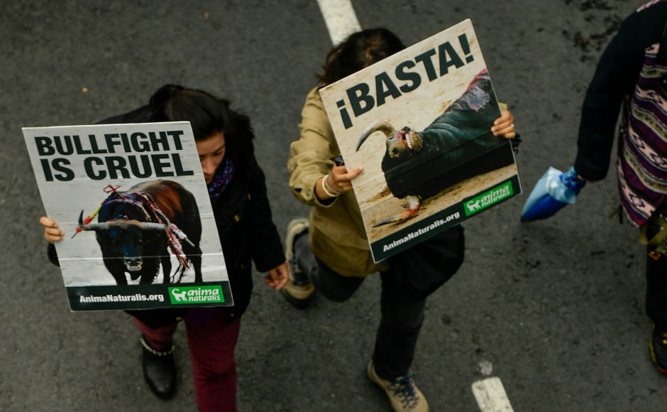 The protest launched under the name of 'San fermin without blood' is led by the People for the Ethical Treatment of Animals, or PETA, and the Spanish NGO AnimalNaturalis. They have demanded to end this blood sport. However, the government is yet to take any action to stop the festivities. AP The protest launched under the name of 'San fermin without blood' is led by the People for the Ethical Treatment of Animals, or PETA, and the Spanish NGO AnimalNaturalis. They have demanded to end this blood sport. However, the government is yet to take any action to stop the festivities. AP