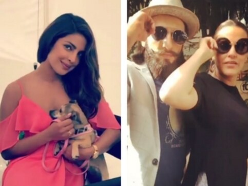 Priyanka Chopra's pooch, Parineeti Chopra's insane throwback video: Social Media Stalker's guide Priyanka Chopra's pooch, Parineeti Chopra's insane throwback video: Social Media Stalker's guide