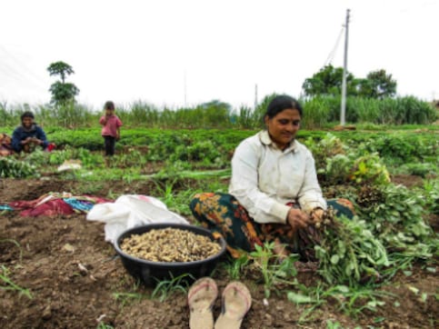 Marathwada Diary: Farmers' distress goes beyond weather patterns, to intensify protests if demands not met by 25 July Marathwada Diary: Farmers' distress goes beyond weather patterns, to intensify protests if demands not met by 25 July