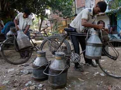 Organic milk production: Brands in India are ignoring a crucial requirement to meet rising demand Organic milk production: Brands in India are ignoring a crucial requirement to meet rising demand